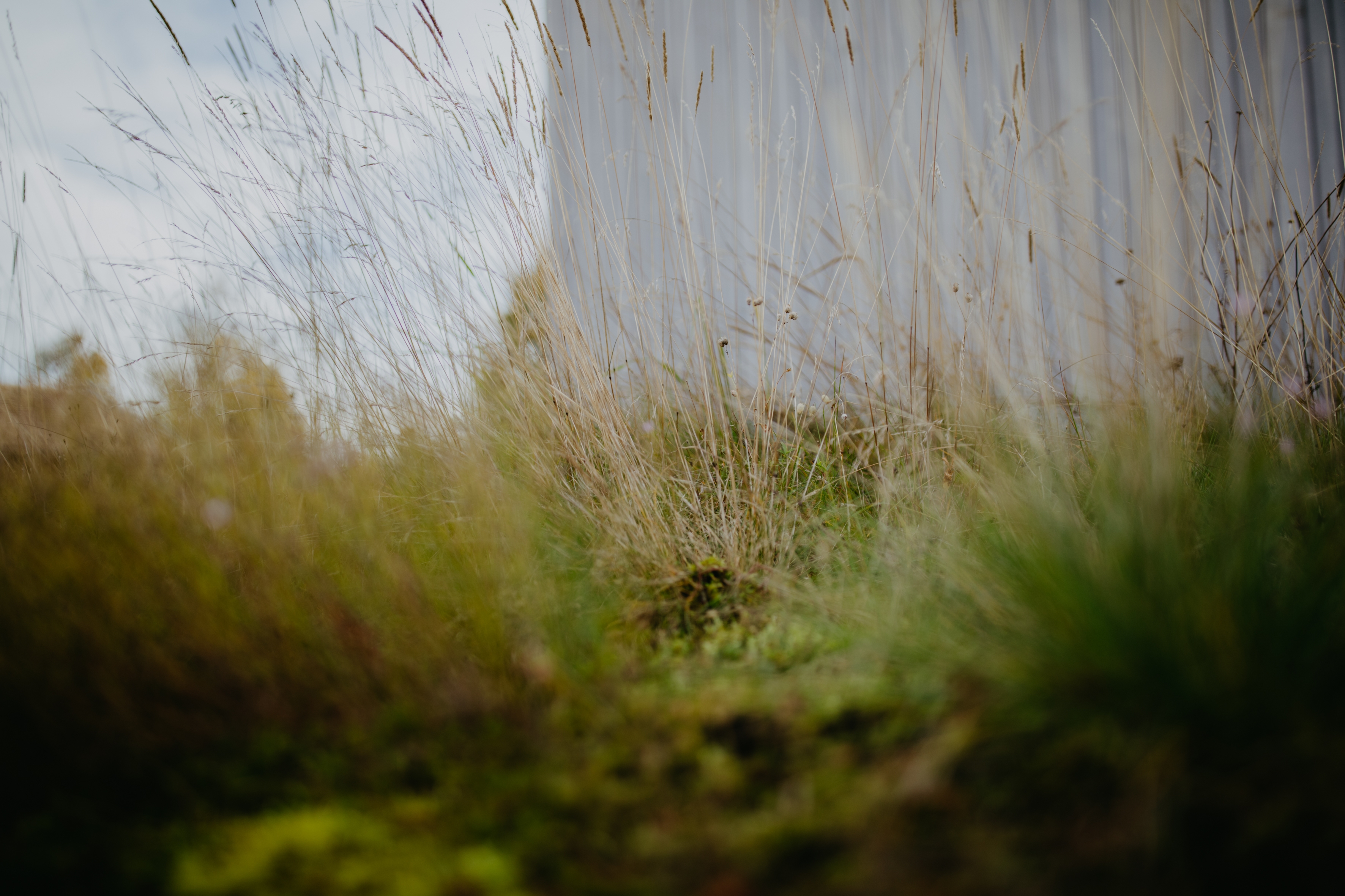 HolzbauGruber_BaustoffHolz_Kirchweidach