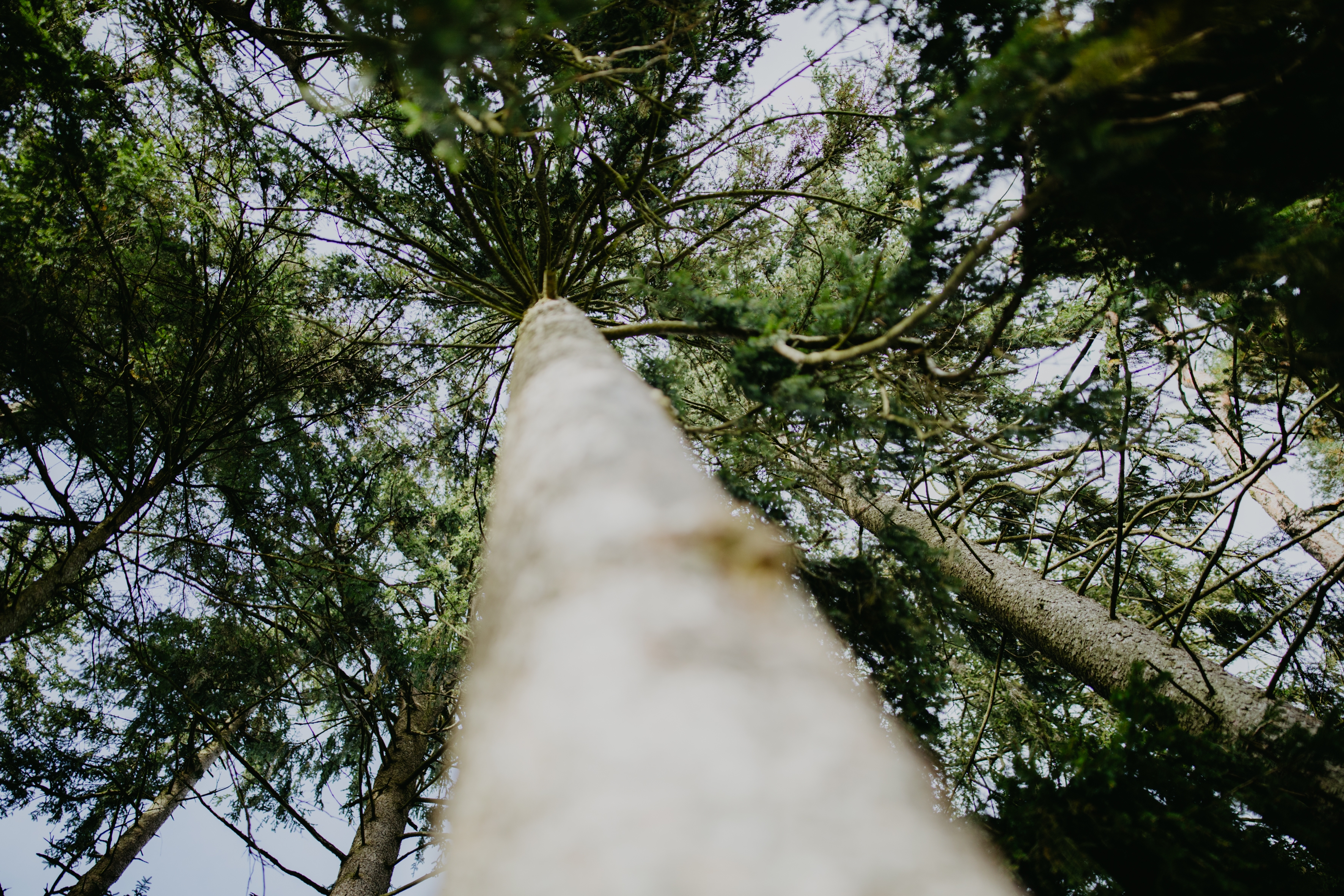 HolzbauGruber_Regional_Holz_Kirchweidach