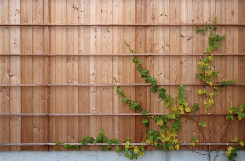 HolzbauGruber__Gewerbebau_LandkreisAltötting HolzbauGruber__Gewerbebau_LandkreisAltötting