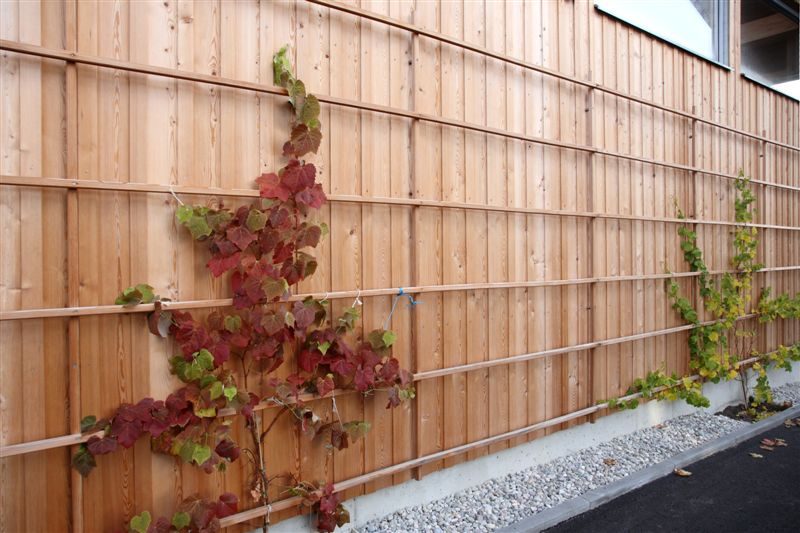 HolzbauGruber__Gewerbebau_LandkreisAltötting HolzbauGruber__Gewerbebau_LandkreisAltötting