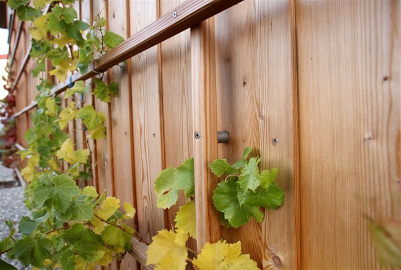 HolzbauGruber__Gewerbebau_LandkreisAltötting HolzbauGruber__Gewerbebau_LandkreisAltötting